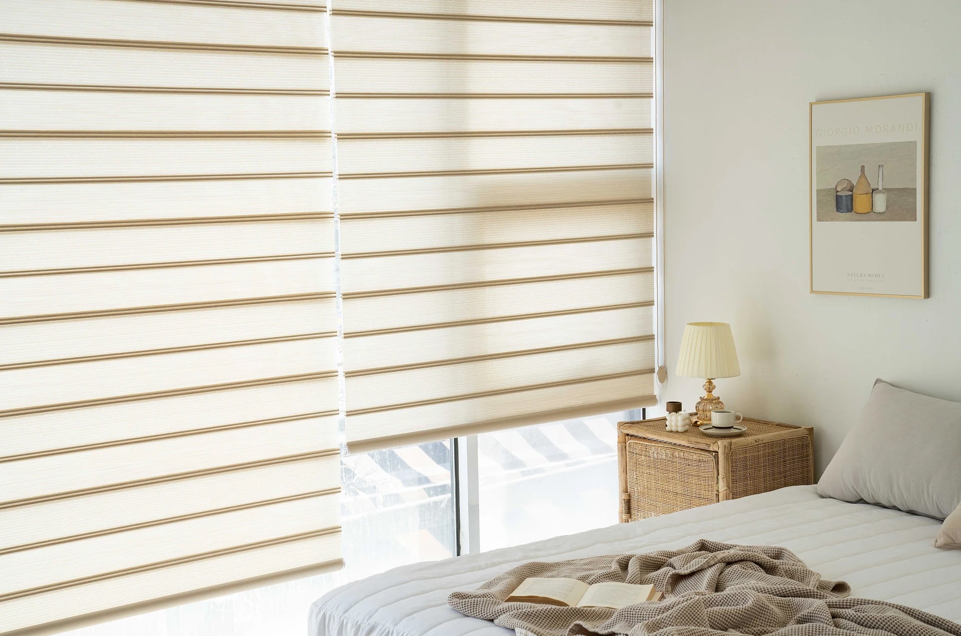Zebra Blinds