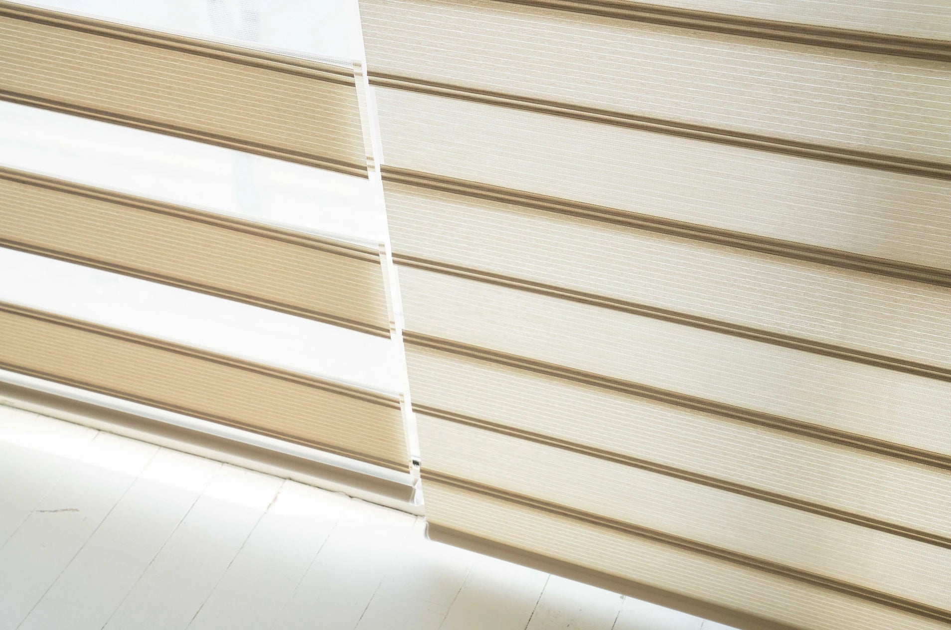 Zebra Blinds