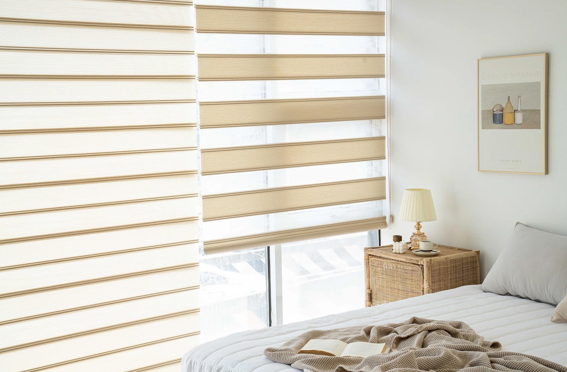 Zebra Blinds